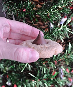 A hand holding a cookie with a Hershey Kiss in front of a tree.