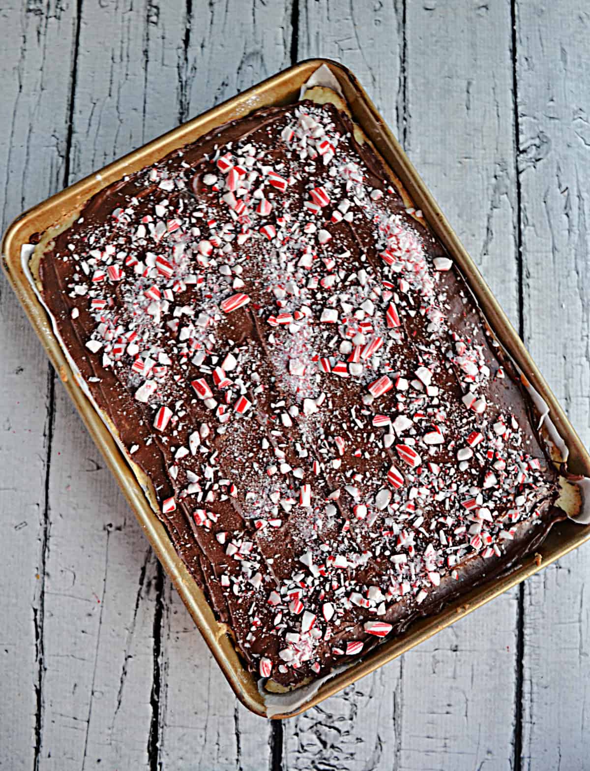 A pan of sugar cookie bars with chocolate and crushed candy canes on top. 