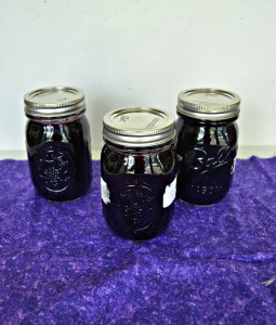 Delicious Blueberry Pie Filling!