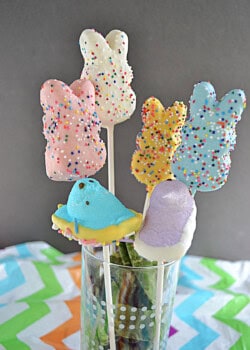Chocolate covered peeps in pastel colors on sticks in a vase.