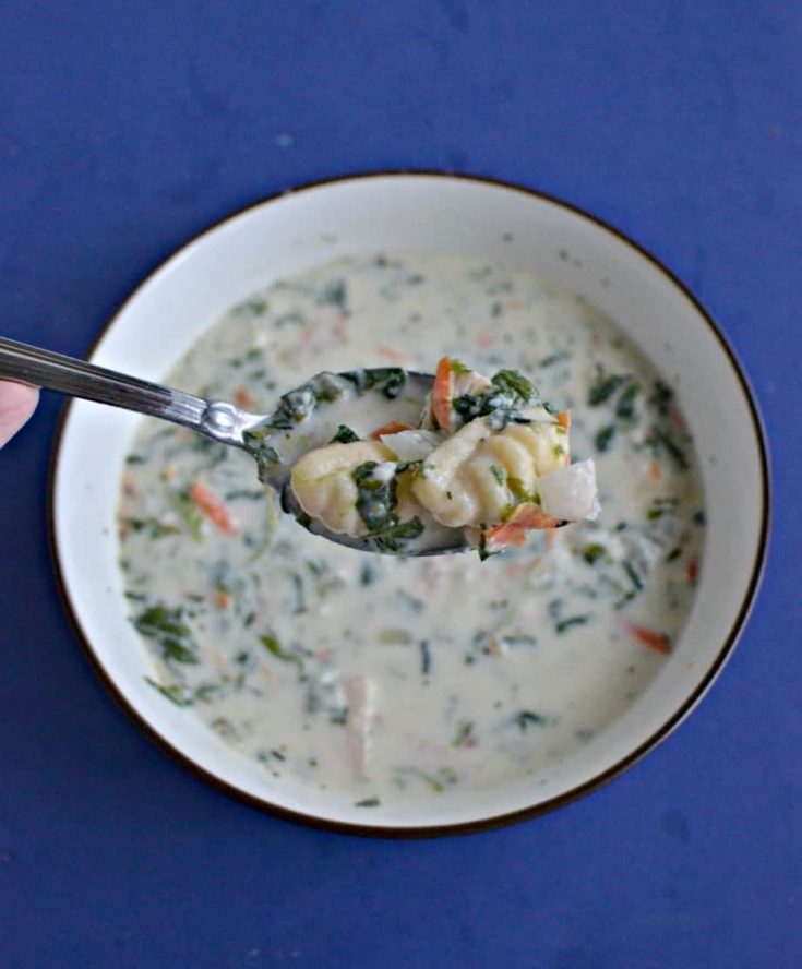 A bowl of white, creamy soup with a spoonful in front that has bits of carrots, spinach, and potato gnocchi on it on a blue background.