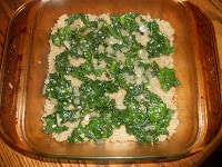 Quinoa, Spinach, and kale Lasagna