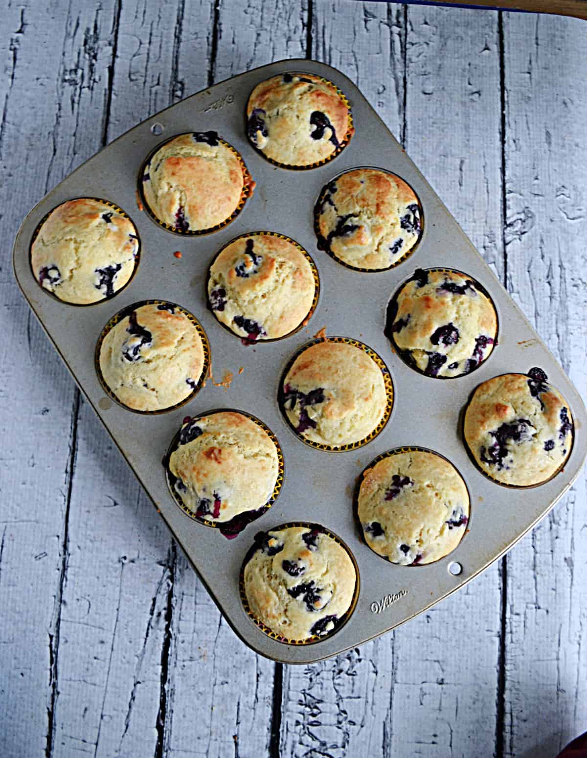 A muffin tin with 12 blueberry muffins in it.