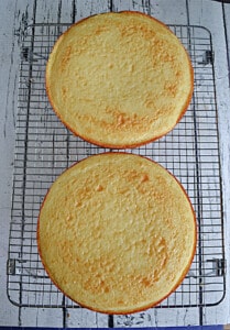 Two layers of coconut cake.