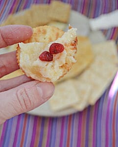 A cracker topped with Baked Brie and a few pomagranate arils on top.