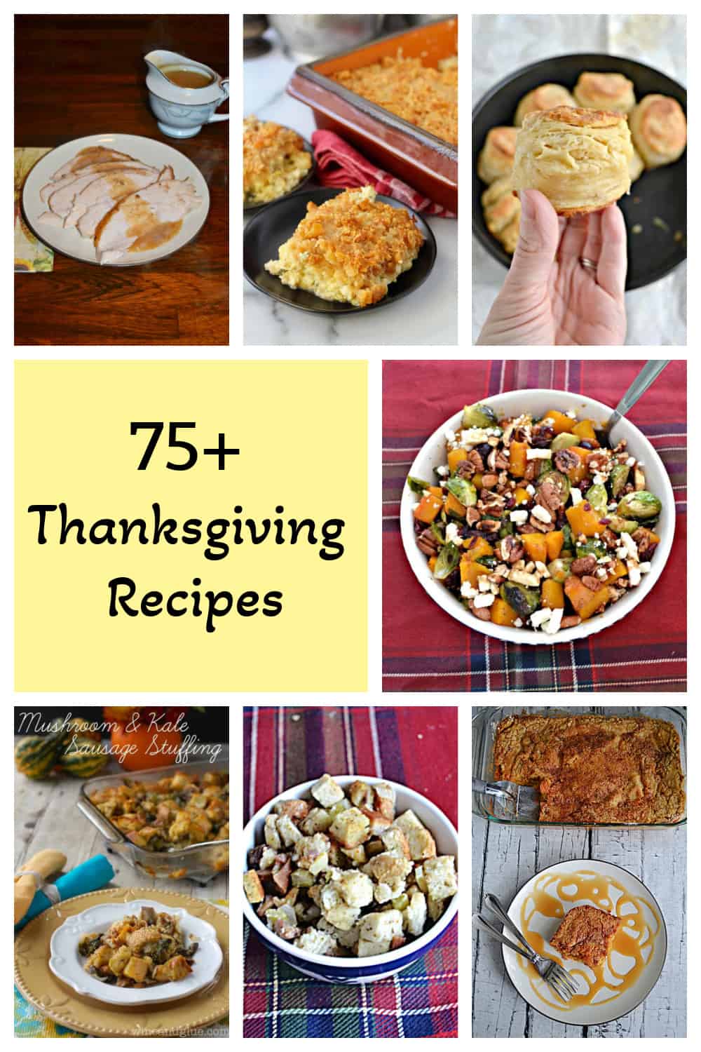 75+ Recipes for Thanksgiving!