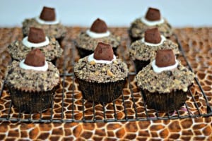 Triple chocolate cupcakes 