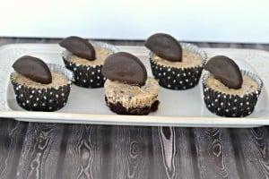 Thin Mint Cheesecakes from Hezzi-D's Books and Cooks