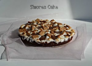 S'mores birthday cake | Hezzi-D's Books and Cooks