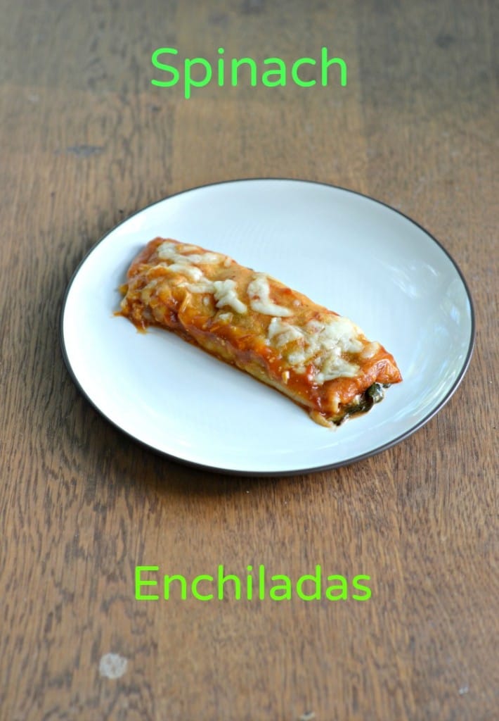 Spinach Enchiladas in a red sauce are delicious and filling.