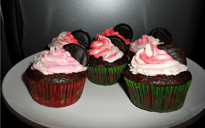Peppermint Mocha Cupcakes with Peppermint Swirl Buttercream Icing