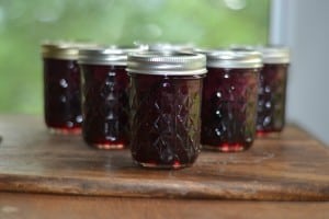 Fresh and Delicious Blueberry Jam