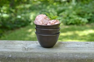 Fresh Rhubarb Ice Cream is easy to make without an Ice Cream Maker!