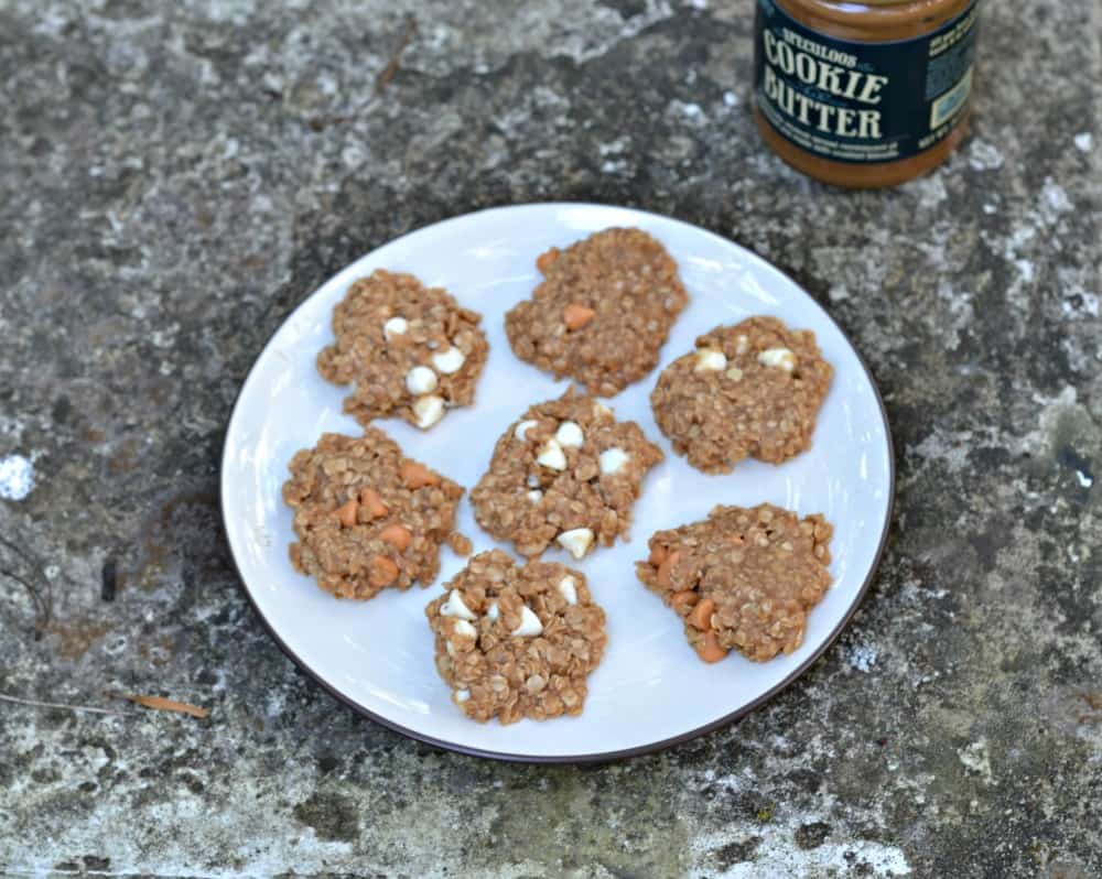 Easy No Bake Cookie Butter Cookies