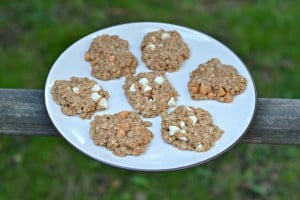 No Bake Cookie Butter Cookies are easy and delicious!