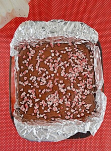 A pan of fudge with peppermint bits on top.