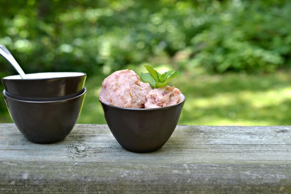 Rhubarb Ice Cream is a delicious summer treat | Hezzi-D's Books and Cooks