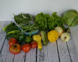Our CSA share for the week