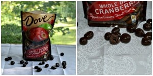 Dove Dark Chocolate Cranberries