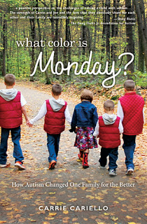 What Color is Monday? by Carrie Cariello