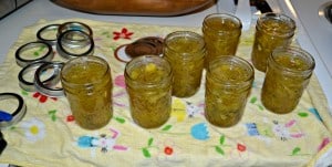 Delicious Pineapple Orange Kiwi Jam