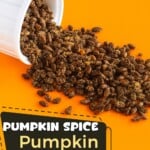 Pin Image: A bowl with pumpkin seeds falling out of it, title.