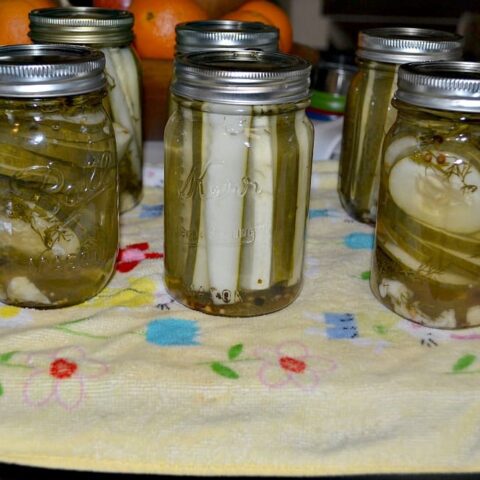 Quick and Easy Dill Pickles