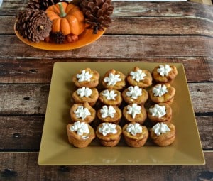 Mini Pumpkin Pies with Cinnamon Whipped Cream