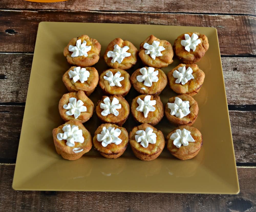 Cute little miniature Pumpkin Pies with whipped cream