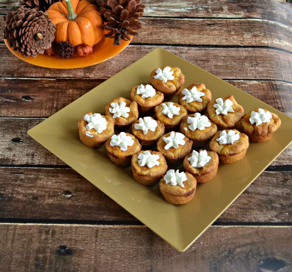 Fall is here and these Mini Pumpkin Pies with Whipped Cream are perfect for a party!