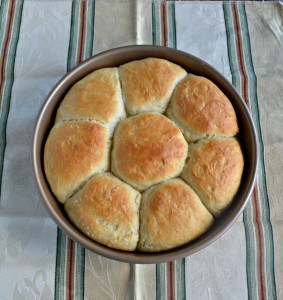 No Knead Dinner Rolls | Hezzi-D's Books and Cooks