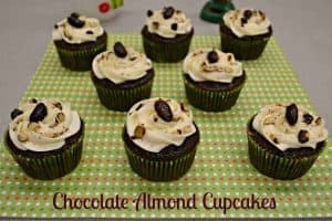 Chocolate Almond Cupcakes made with Planter's Cocoa Almonds