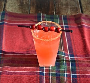 Fun Pear and Cranberry Orange Cocktail