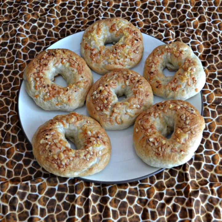 Homemade Bagels with Parmesan Cheese and Garlic