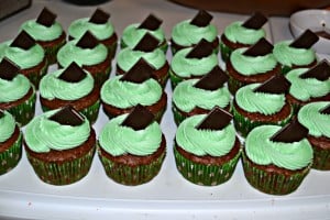 Tasty Mint Chocolate Chip Cupcakes are almost too pretty too eat.