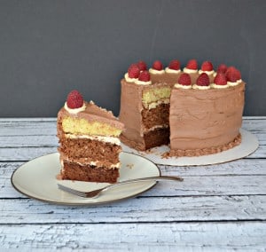 Chocolate Ombre Cake is the ultimate chocolate cake. With layers of white chocolate cake, milk chocolate cake, and dark chocolate cake separated with salted caramel frosting and topped off with chocolate buttercream frosting.