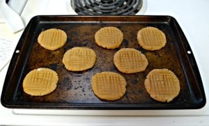 Three Ingredient Peanut Butter Cookies are gluten free and made with Stevia instead of sugar.