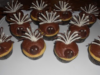 Vanilla cupcakes, chocolate frosting, and chocolate "feathers"