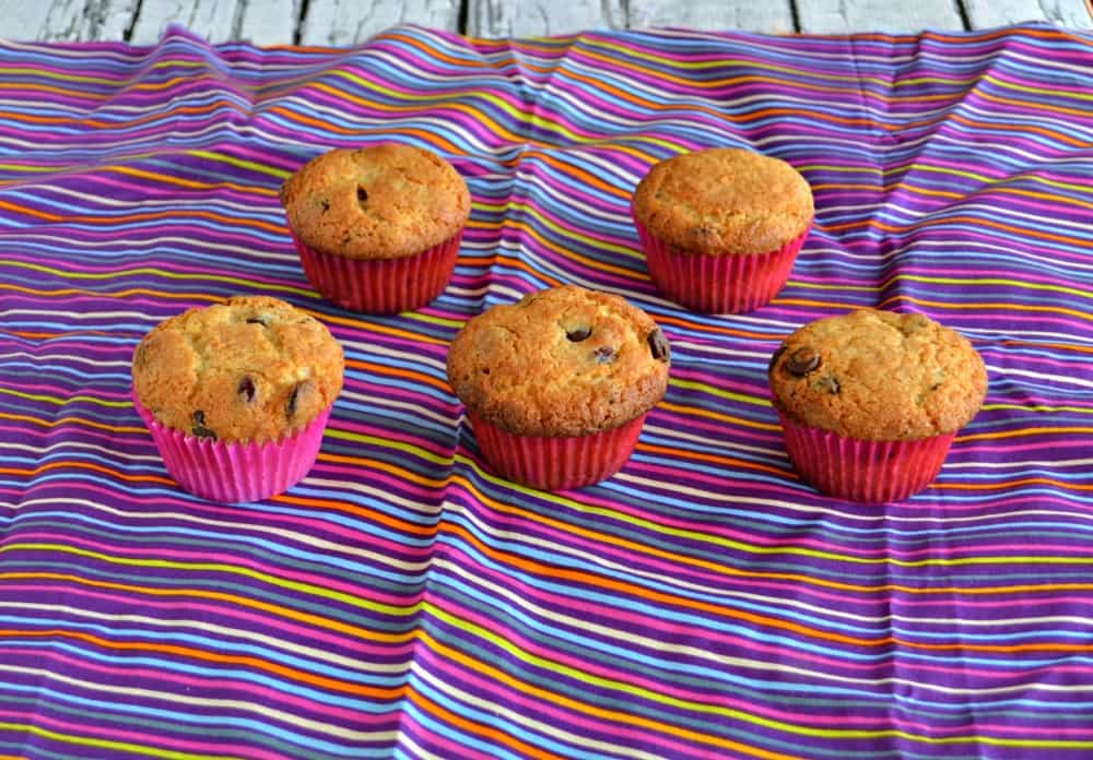 Chocolate Chip Cranberry Muffins are great for breakfast or for a mid-day snack.
