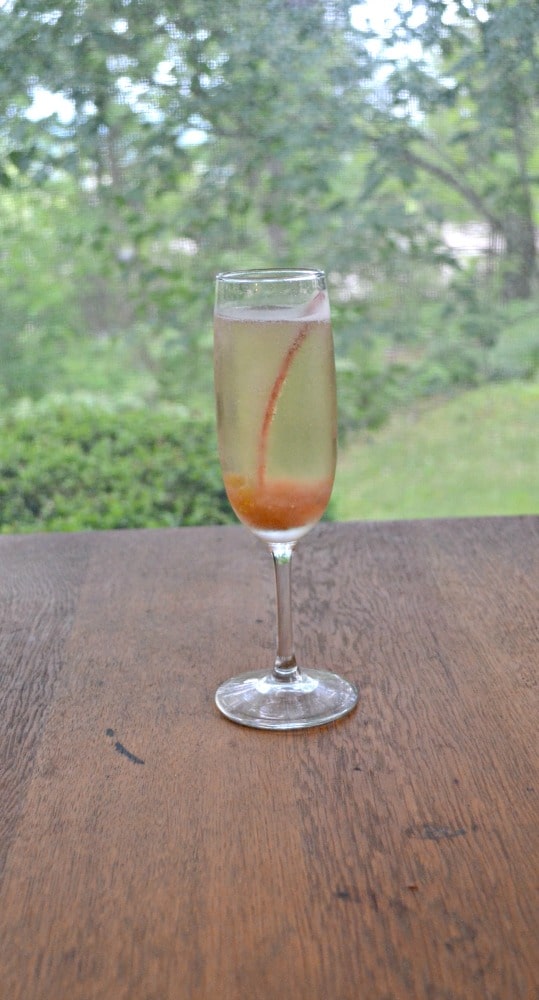 Spiced Rhubarb Champagne Spritzer is a refreshing summer cocktail. Try this recipe at your next girl's night in!
