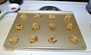 Gourmet Iced Oatmeal Raisin Cookies with butterscotch chips and pecans!