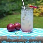 Plum and Thyme Champagne Cocktail