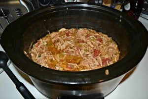 Slow Cooker Pork and Green Chili Stew