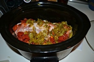 Hearty Slow Cooker Pork and Green Chili Stew