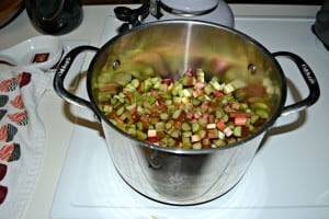 Rhubarb simmering to make Vanilla Rhubarb Jam