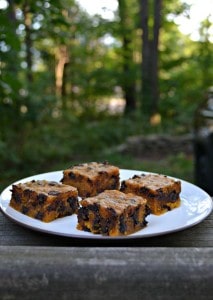 Delicious Gooey Pumpkin Chocolate Chip Bars are a tasty fall treat