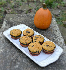 Perfect fall recipe! These pumpkin chocolate chip muffins with cheesecake swirl are great for breakfast, snack, or dessert!