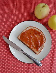 A slice of toast with apple butter on it.