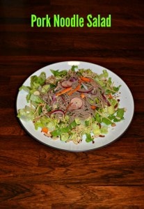 A chopped Asian salad topped with Noodles and Pork in an Asian Sauce