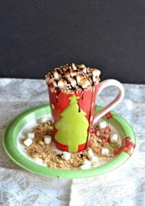 A mug of hot cocoa with marshmallows, chocolate, and graham crackers on top.